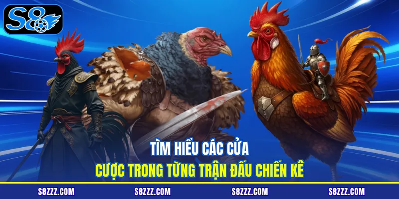 Tìm hiểu các cửa cược trong từng trận đấu chiến kê